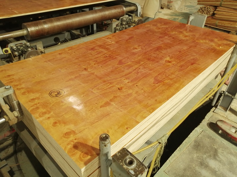 客戶一看這個(gè)建筑模板——靚